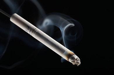 《哆啦A梦 牧场物语2》DLC包2“昆虫们的生活”1月19日发布