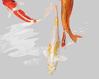 玩家特别好评 《重塑火星》正式版今日登陆Steam